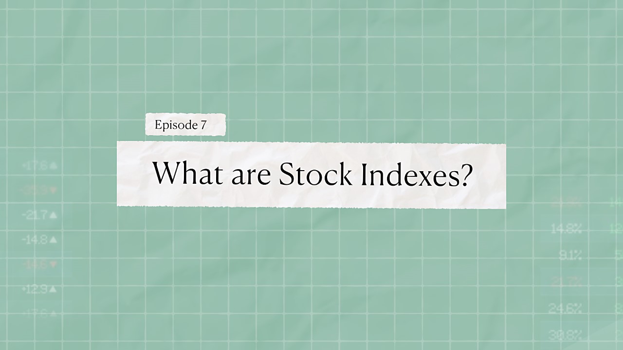 Episode 7- What are stock indexes - Bamboo Stock Market Course