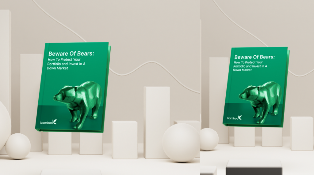 Beware of Bears - How to protect your portfolio and invest in a down market - Investment Guides - Invest Bamboo