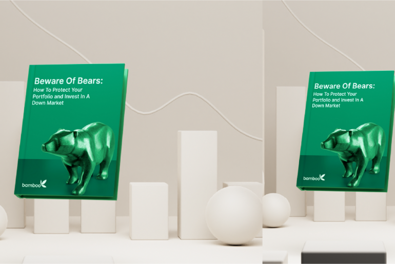 Beware of Bears - How to protect your portfolio and invest in a down market - Investment Guides - Invest Bamboo