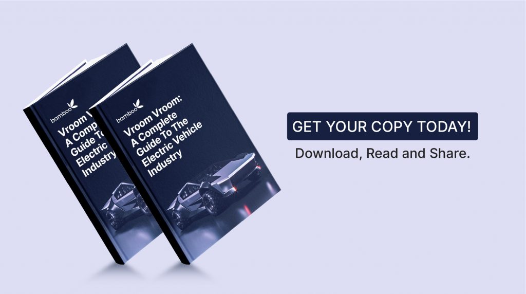 electronic vehicle stocks