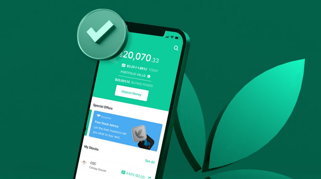 Is Bamboo a good investment