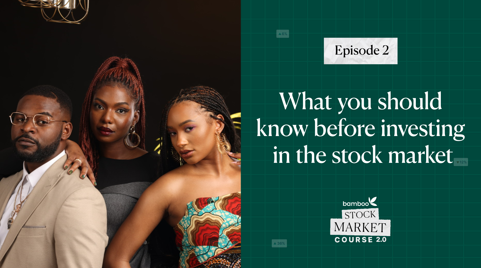 Episode 2 - What You Should Know Before You Invest In The Stock Market - Bamboo Stock Market Course - Learn How To Make Money From The Stock Market - Invest Bamboo