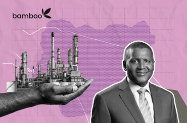 Dangote Refinery IPO, What It Is, How It Works And How To Invest