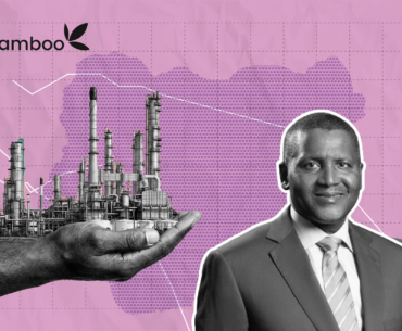 Dangote Refinery IPO, What It Is, How It Works And How To Invest