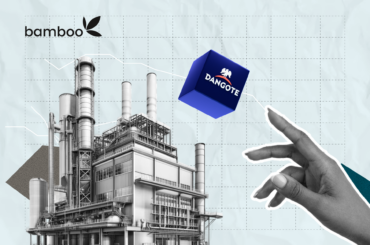 How to Prepare for the Dangote Refinery IPO