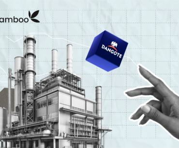 How to Prepare for the Dangote Refinery IPO