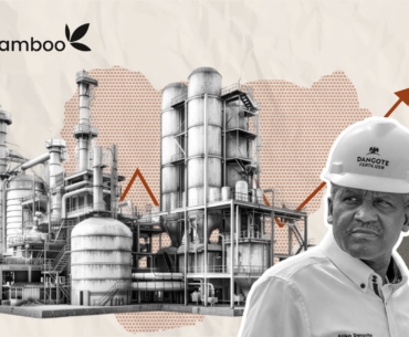 Is Buying Dangote Refinery IPO a Good Investment