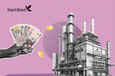 How Much Money Do You Need to Invest in the Dangote Refinery IPO