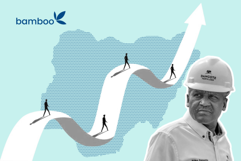 What Happens If the Dangote IPO Is Oversubscribed? Understanding IPO Demand in Nigeria