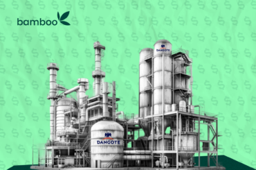Why You Need to Buy Dangote Refinery IPO
